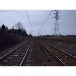 Zdjęcia użytkowników LG Nexus 5X