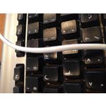 Zdjęcia użytkowników LG Nexus 5X