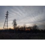 Zdjęcia użytkowników LG Nexus 5X