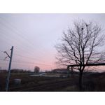 Zdjęcia użytkowników LG Nexus 5X