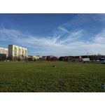 Zdjęcia użytkowników LG Nexus 5X