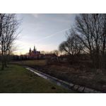 Zdjęcia użytkowników LG Nexus 5X