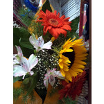 Zdjęcia użytkowników LG Optimus 2X