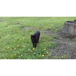 Zdjęcia użytkowników LG Optimus 4X HD Zdjęcia użytkowników LG Optimus 4X HD