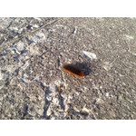 Zdjęcia użytkowników LG Optimus 4X HD Zdjęcia użytkowników LG Optimus 4X HD