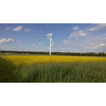 Zdjęcia użytkowników LG Optimus 4X HD Zdjęcia użytkowników LG Optimus 4X HD