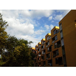 Zdjęcia użytkowników LG Optimus L3