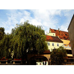 Zdjęcia użytkowników LG Optimus L3