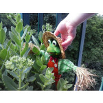 Zdjęcia użytkowników LG Optimus L3