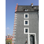 Zdjęcia użytkowników LG Optimus P920