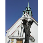 Zdjęcia użytkowników LG Optimus P920