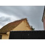 Zdjęcia użytkowników LG Q6