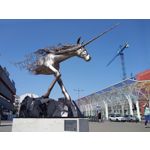 Zdjęcia użytkowników LG Q60