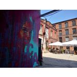 Zdjęcia użytkowników LG Q60