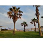 Zdjęcia użytkowników LG Q60