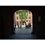 Zdjęcia użytkowników LG Q60