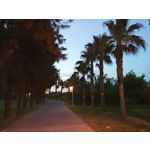 Zdjęcia użytkowników LG Q60