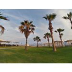 Zdjęcia użytkowników LG Q60