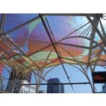 Zdjęcia użytkowników LG Q60