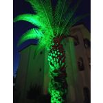 Zdjęcia użytkowników LG Q60