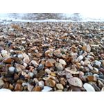 Zdjęcia użytkowników LG Q60