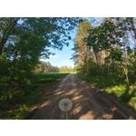 ZDJĘCIA Z TEGO TELEFONU