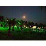 Zdjęcia użytkowników LG Q60