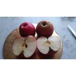 ZDJĘCIA Z TEGO TELEFONU