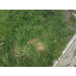 ZDJĘCIA Z TEGO TELEFONU