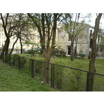 ZDJĘCIA Z TEGO TELEFONU