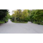 Zdjęcia użytkowników LG V30