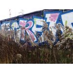 Zdjęcia użytkowników LG V30