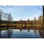 Zdjęcia użytkowników LG V30