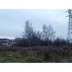 Zdjęcia użytkowników LG V30