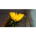 Zdjęcia użytkowników LG V30