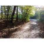 Zdjęcia użytkowników LG V30