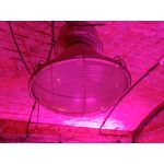 Zdjęcia użytkowników LG V30