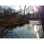 Zdjęcia użytkowników LG V30