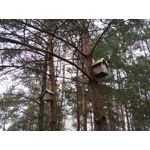 Zdjęcia użytkowników LG V30