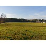 Zdjęcia użytkowników LG V30