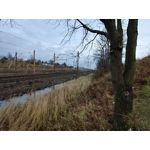 Zdjęcia użytkowników LG V30