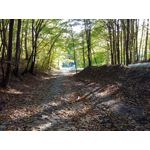 Zdjęcia użytkowników LG V30