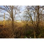 Zdjęcia użytkowników LG V30