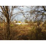 Zdjęcia użytkowników LG V30