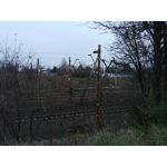 Zdjęcia użytkowników LG V30