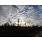 Zdjęcia użytkowników LG V30