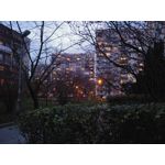 Zdjęcia użytkowników LG V30