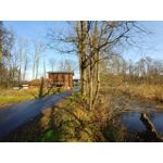 Zdjęcia użytkowników LG V30