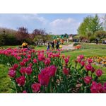 Zdjęcia użytkowników LG V40 ThinQ