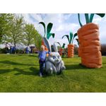 Zdjęcia użytkowników LG V40 ThinQ